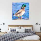 Preening Mallard Leinwanddruck (Insitu (Schlafzimmer))
