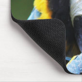 Preening Parrot Mousepad (Ecke)