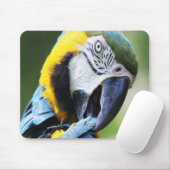 Preening Parrot Mousepad (Mit Mouse)
