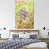 Preening Pelican Leinwanddruck (Insitu (Schlafzimmer))