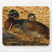 Preening Wood Ducks on Log Mousepad (Vorne)