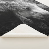 Pregnant Dartmoor Pony Mare Porträt Sherpadecke (3/4)