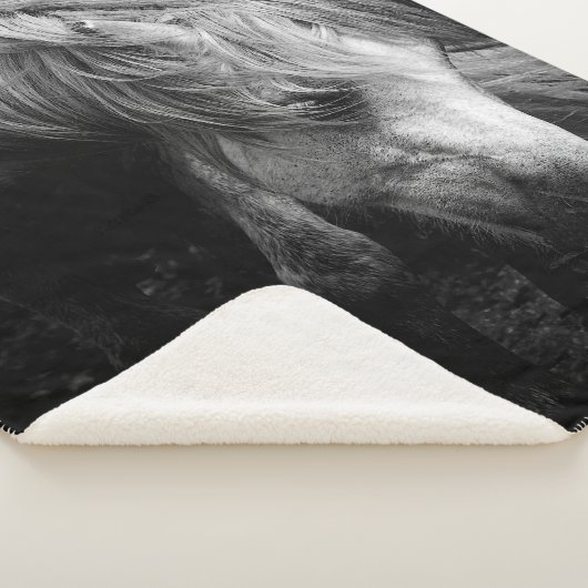 Pregnant Dartmoor Pony Mare Porträt Sherpadecke (3/4)