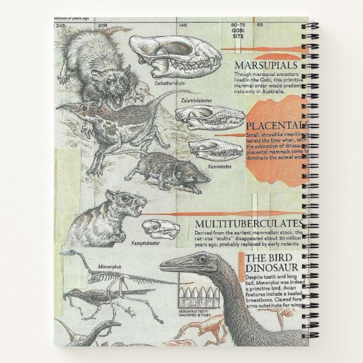 Prehistoric Notebook Notizblock (Rückseite)