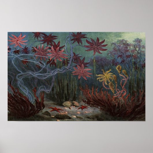 Prehistoric Ocean Poster (Vorne)