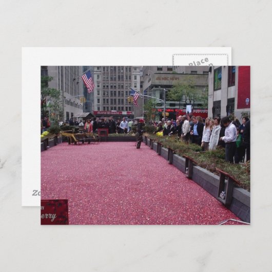 Preiselbeerbog mitten im NYC Postkarte (Vorne/Hinten)