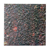 Preiselbeere Fliese (Vorderseite)