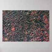 Preiselbeere Poster (Vorne)