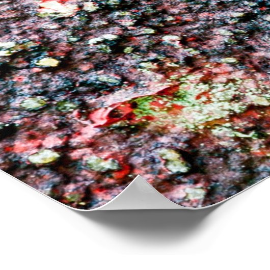 Preiselbeere Poster (Ecke)