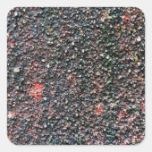 Preiselbeere Quadratischer Aufkleber (Vorderseite)