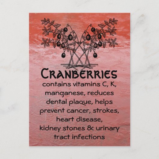 Preiselbeeren Postkarte (Vorderseite)