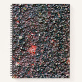 Preiselbeerheber Notizblock (Vorderseite)