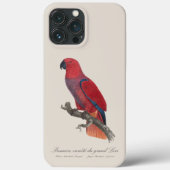 Premiere variete du grand Lori / Eclectus parrot Case-Mate iPhone Hülle (Rückseite)