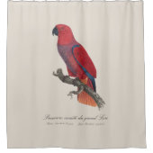 Premiere variete du grand Lori / Eclectus parrot Duschvorhang (Vorderseite)