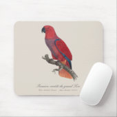 Premiere variete du grand Lori / Eclectus parrot Mousepad (Mit Mouse)