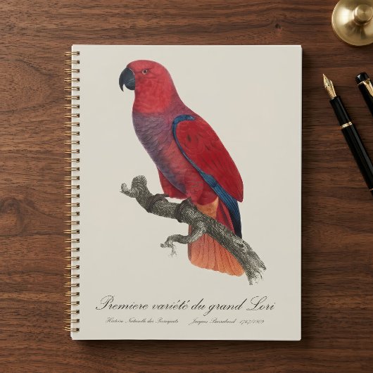 Premiere variete du grand Lori / Eclectus parrot Planer