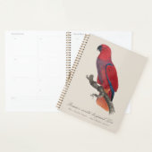 Premiere variete du grand Lori / Eclectus parrot Planer (Anzeige)