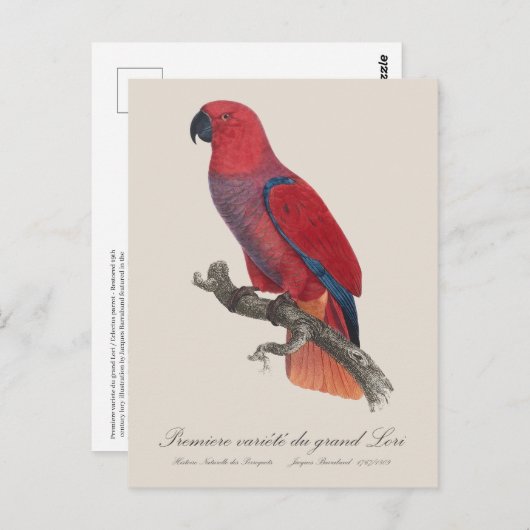 Premiere variete du grand Lori / Eclectus parrot Postkarte (Vorne/Hinten)