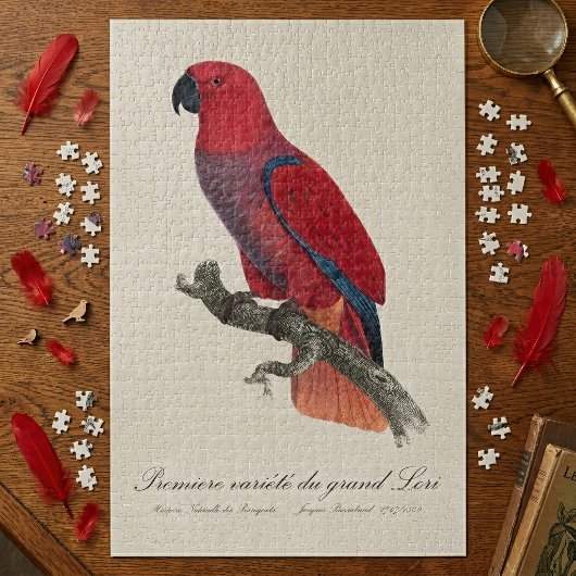 Premiere variete du grand Lori / Eclectus parrot Puzzle