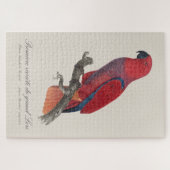 Premiere variete du grand Lori / Eclectus parrot Puzzle (Horizontal)