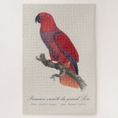 Premiere variete du grand Lori / Eclectus parrot Puzzle (Vertikal)