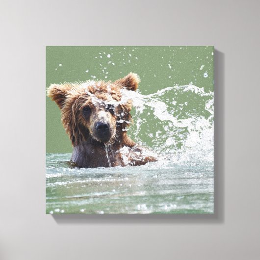 Premium gepackt Canvas 12x12 mit Grizzlybär Leinwanddruck (Vorderseite)