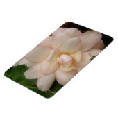 Premium-Magnet für Begonia-Blume Magnet (Linke Seite)
