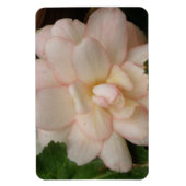 Premium-Magnet für Begonia-Blume Magnet (Vertikal)