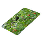 Premium Magnet für Blackbird und Berries (Linke Seite)
