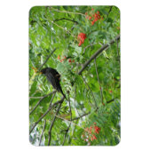 Premium Magnet für Blackbird und Berries (Vertikal)