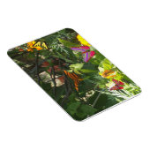 Premium-Magnet für Blätter und Schmetterlinge Magnet (Rechte Seite)