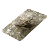 Premium-Magnet für braunes Feld Magnet (Linke Seite)