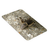 Premium-Magnet für braunes Feld Magnet (Rechte Seite)