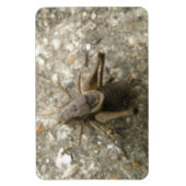 Premium-Magnet für braunes Feld Magnet (Vertikal)