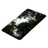 Premium-Magnet für Creepy Forest Magnet (Linke Seite)