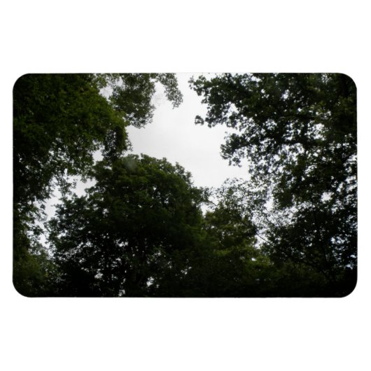 Premium-Magnet für Creepy Forest Magnet (Horizontal)