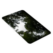 Premium-Magnet für Creepy Forest Magnet (Rechte Seite)