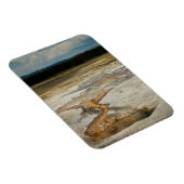 Premium-Magnet für gestrichene Grands Magnet (Rechte Seite)