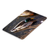 Premium Magnet für Holzente (Linke Seite)