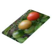 Premium-Magnet für leichte Tomaten/Paradeiser Magnet (Linke Seite)