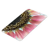 Premium-Magnet für Rosa Sonnenblumen Magnet (Linke Seite)