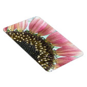 Premium-Magnet für Rosa Sonnenblumen Magnet (Rechte Seite)