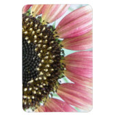 Premium-Magnet für Rosa Sonnenblumen Magnet (Vertikal)