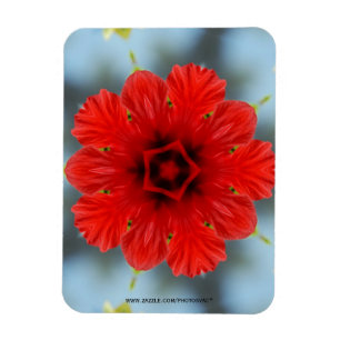 Premium-Magnet für Rote Blume Magnet