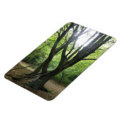 Premium-Magnet für Waldlandsonne Magnet (Linke Seite)