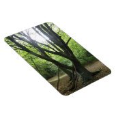 Premium-Magnet für Waldlandsonne Magnet (Rechte Seite)