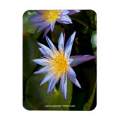 Premium-Magnet für Wasserlilie Magnet (Vertikal)