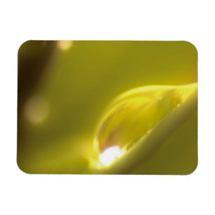 Premium-Magnet für Wassertropfen 3 Magnet