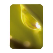 Premium-Magnet für Wassertropfen 3 Magnet (Vertikal)