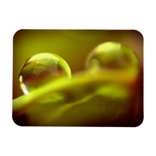 Premium-Magnet für Wassertropfen Magnet (Horizontal)